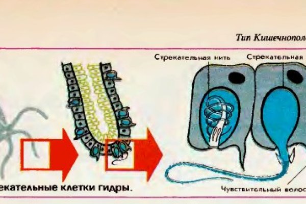 Сайт мега кракен