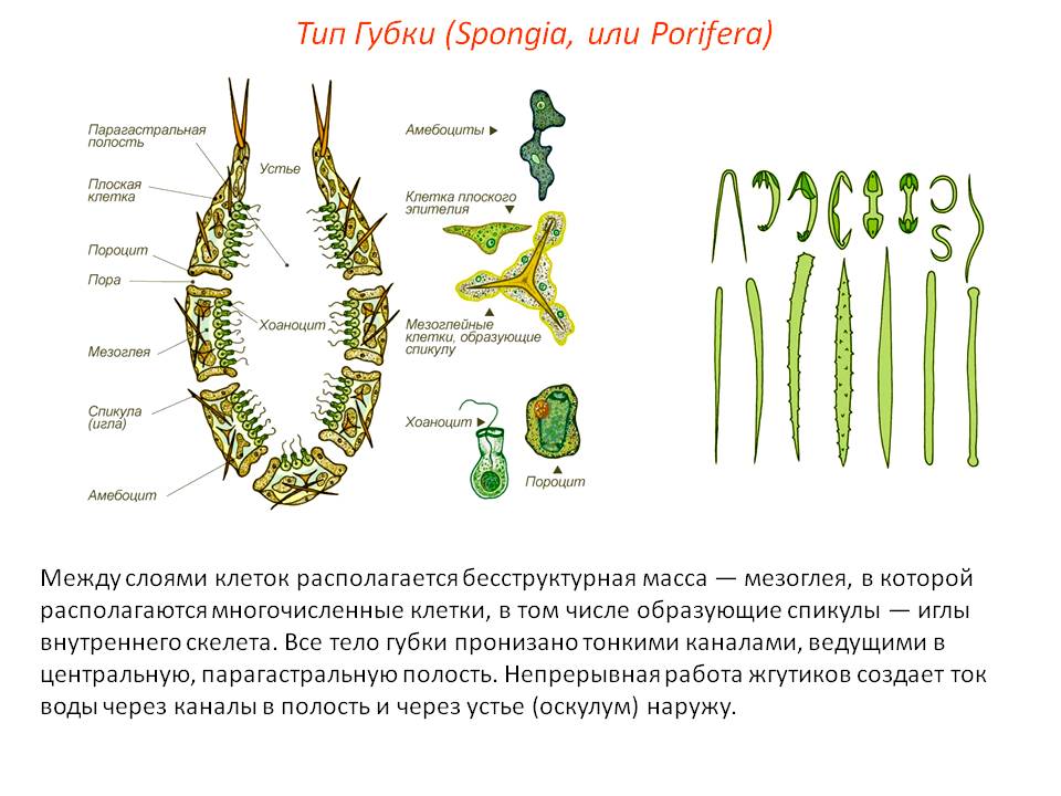 Кракен черный сайт