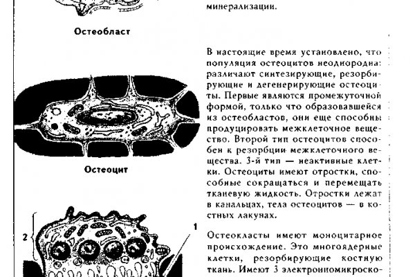 Вывести деньги с кракена