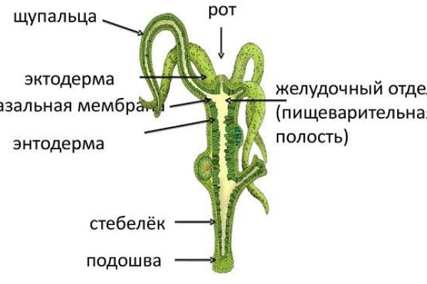 Купить наркоту