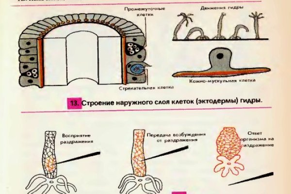 Кракен сайт пользователь не найден